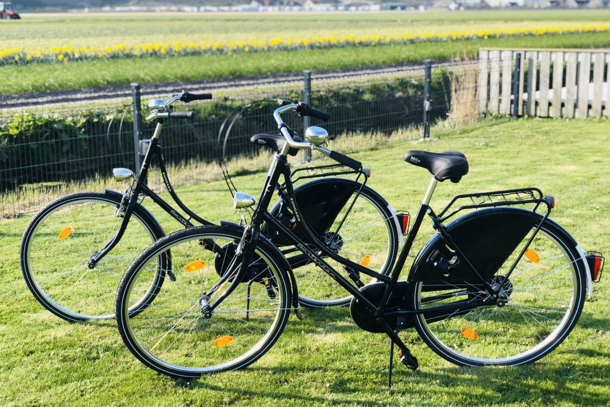 Villa Sandkorn - Ferienhäuser Knickenberg